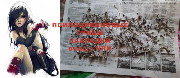 круглые Абаза