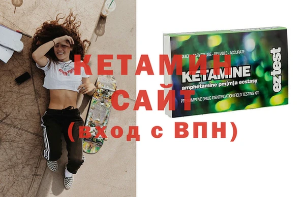 сатива Новозыбков