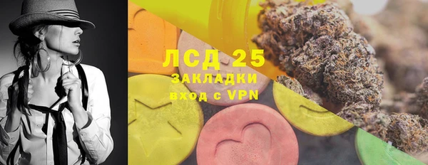 сатива Новозыбков