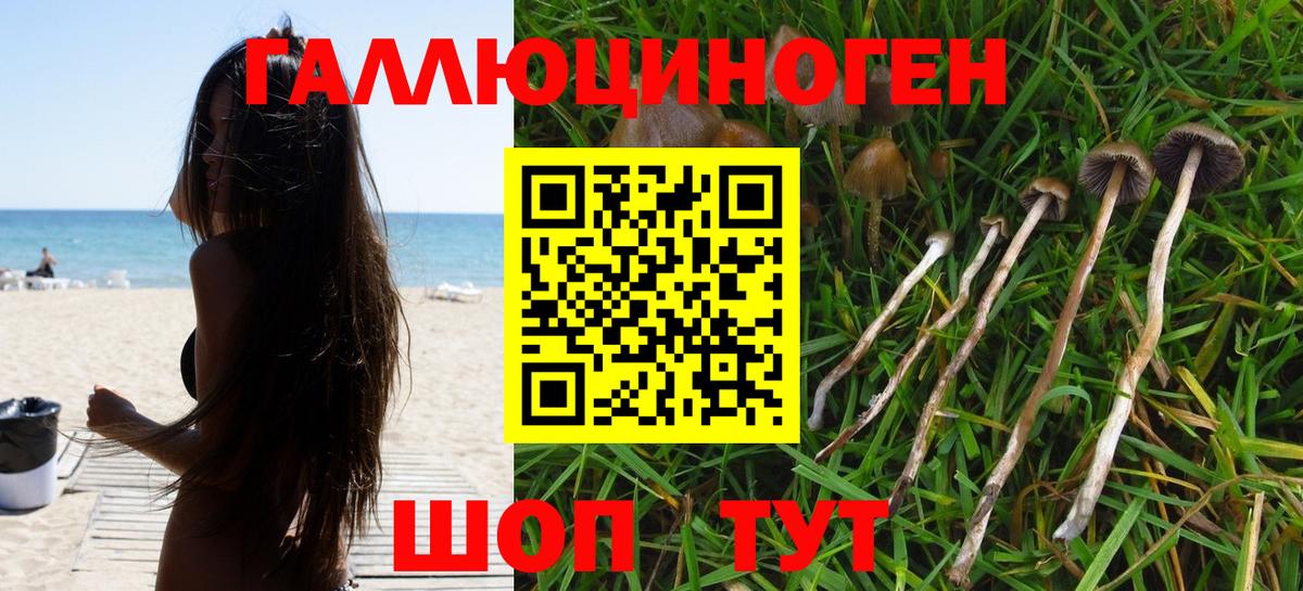 Псилоцибиновые грибы прущие грибы  Вход с VPN  Галлюциногенные грибы мухоморы  Саранск 