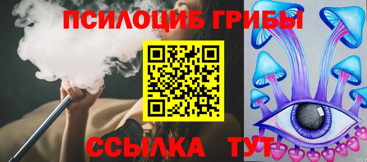 Галлюциногенные грибы Psilocybe Саранск